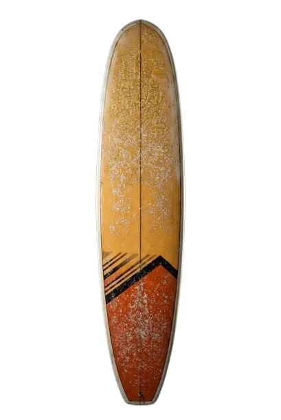 Premium Skateboard Rental